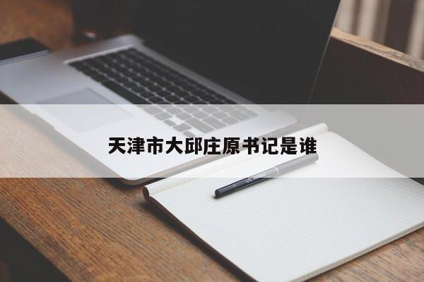 天津市大邱莊原書記是誰